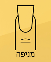 צורת מניפה